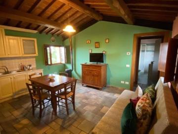 Appartamento in affitto a Capraia e Limite FI