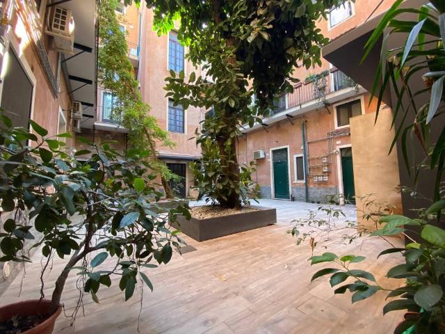 Appartamento in affitto a Catania CT
