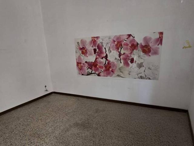 Appartamento in affitto a Catania CT