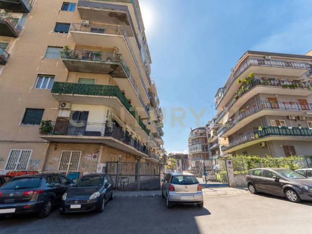Appartamento in affitto a Catania CT