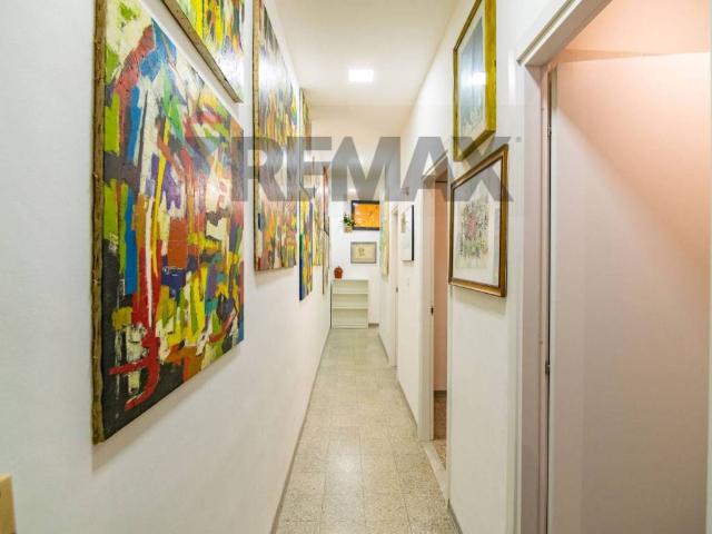 Appartamento in affitto a Catania CT