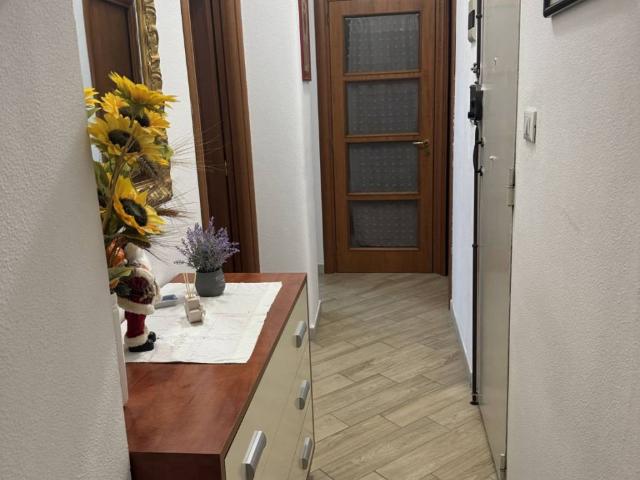 Appartamento in affitto a Catania CT