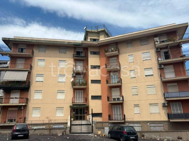 Appartamento in affitto a Catania, arredato, ristrutturato, balcone TrovaCasa