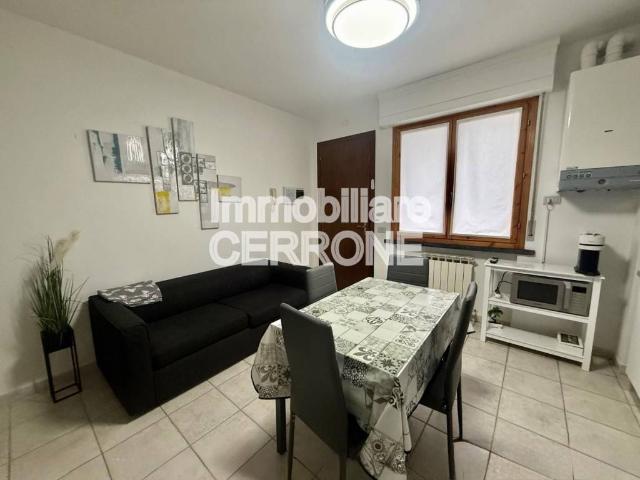 Appartamento in affitto a Cecina LI