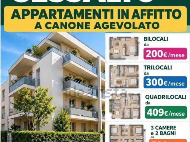 Appartamento in affitto a Cessalto TV