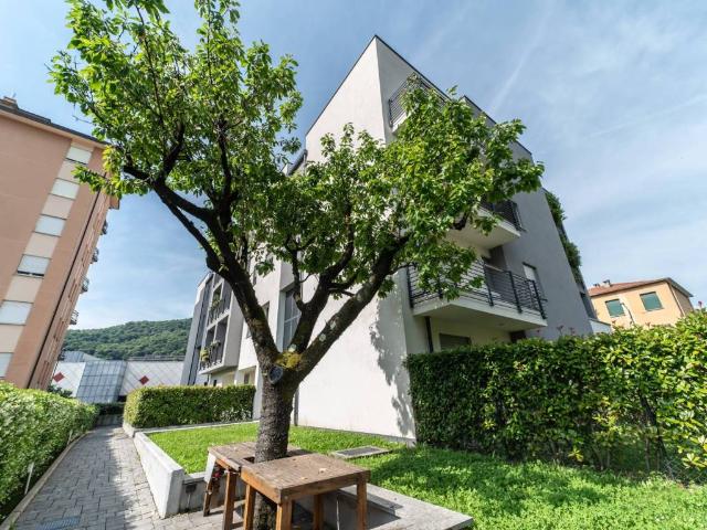 Appartamento in affitto a Cernobbio CO