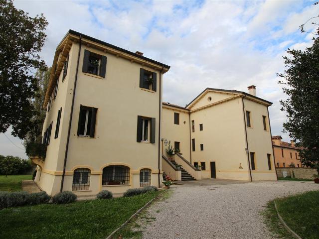 Appartamento in affitto a Cervarese Santa Croce