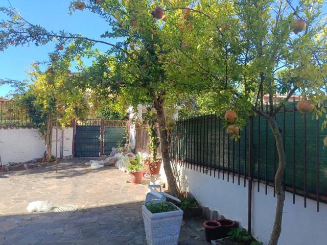 Appartamento in affitto a Cerveteri RM