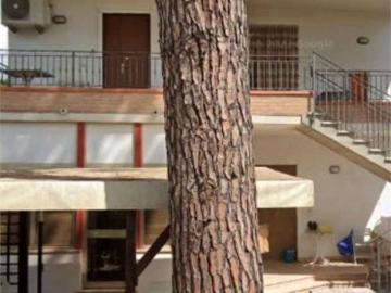 Appartamento in affitto a Cervia RA