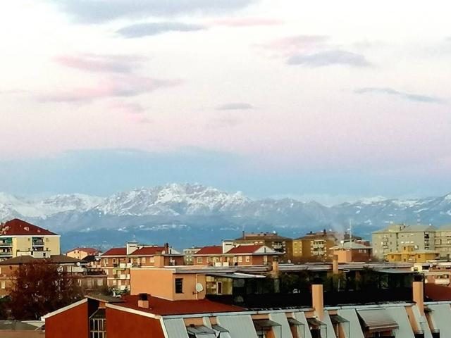 Appartamento in affitto a Cinisello Balsamo MI
