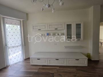 Appartamento in affitto a Cinisello Balsamo via Giovanni Battista Lulli, 9, arredato, box, terrazzo TrovaCasa