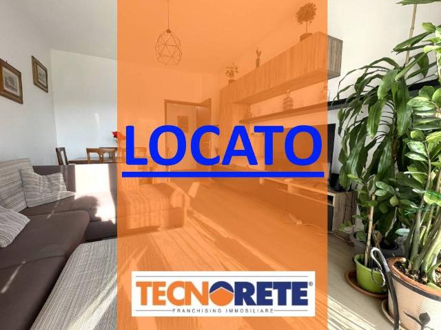 Appartamento in affitto a Cologno Monzese MI