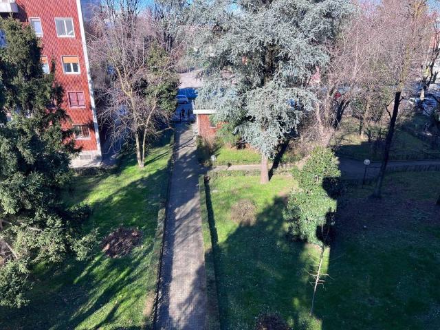 Appartamento in affitto a Cologno Monzese MI