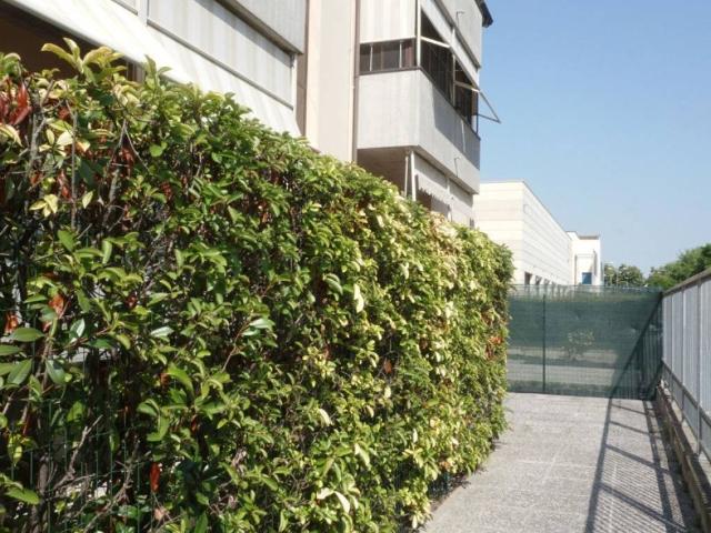 Appartamento in affitto a Colorno PR