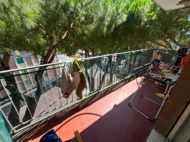 Appartamento in affitto a Comacchio viale delle querce, 23, arredato, ascensore, balcone TrovaCasa
