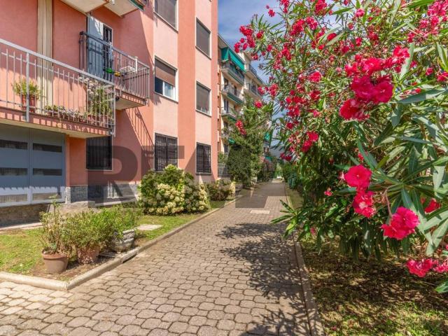 Appartamento in affitto a Cornaredo MI