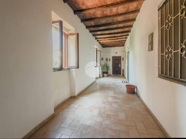 Appartamento in affitto a Corchiano VT
