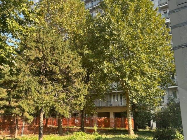 Appartamento in affitto a Corsico MI