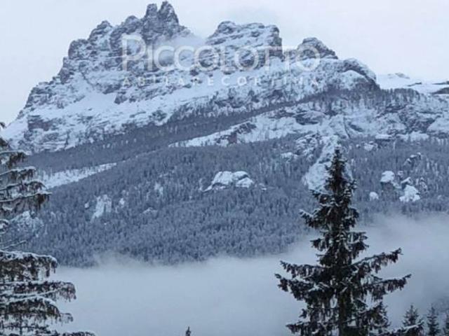 Appartamento in affitto a Cortina d'Ampezzo BL