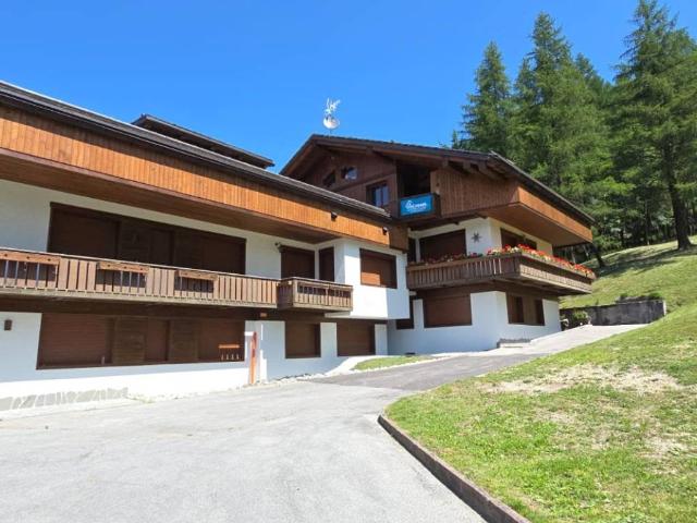 Appartamento in affitto a Cortina d'Ampezzo BL