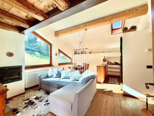 Appartamento in affitto a Courmayeur AO