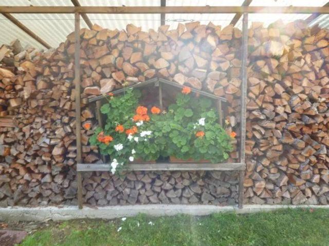 Appartamento in affitto a Edolo BS
