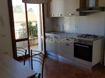 Appartamento in affitto a Empoli empoli p. Elsa, 26 TrovaCasa