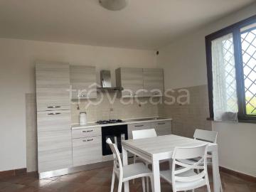 Appartamento in affitto a Fucecchio, arredato, giardino privato, lavastoviglie TrovaCasa