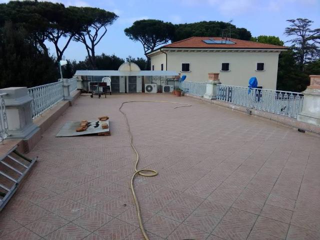 Appartamento in affitto a Fauglia PI