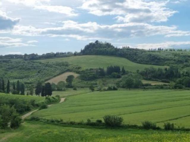 Appartamento in affitto a Fauglia via Beato Pio IX, arredato, panoramica, angolo cottura TrovaCasa