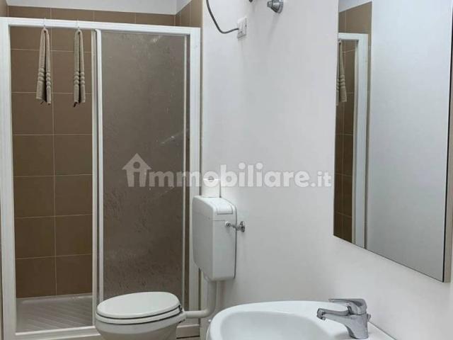 Appartamento in affitto a Ferrara via Maestri del Lavoro, 4D, arredato, terrazzo, ascensore TrovaCasa
