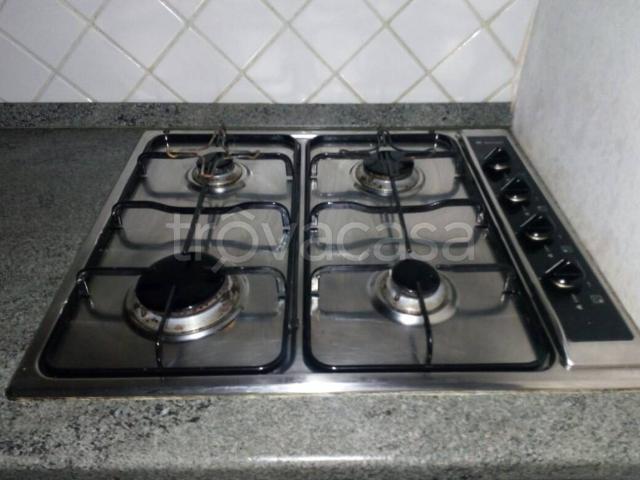 Appartamento in affitto a Fidenza via del Teatro, 18, arredato, riscaldamento autonomo, cucina a vista TrovaCasa