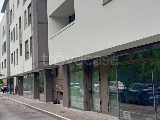 Appartamento in affitto a Finale Emilia, arredato, aria condizionata TrovaCasa