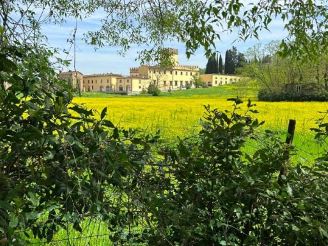 Appartamento in affitto a Firenze
