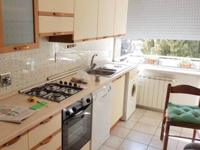 Appartamento in affitto a Firenze FI