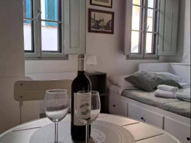 Appartamento in affitto a Firenze FI
