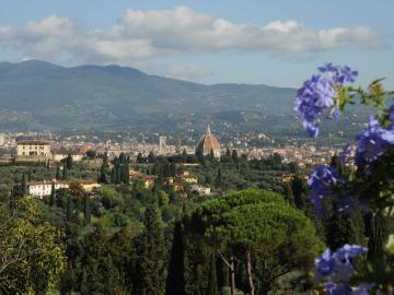 Appartamento in affitto a Firenze FI