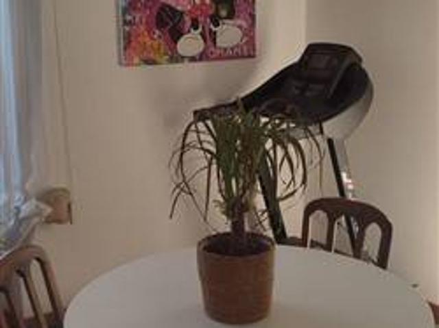 Appartamento in affitto a Firenze FI