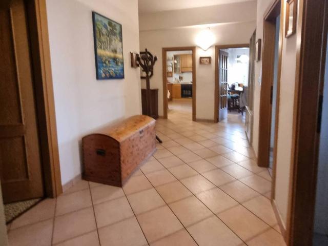 Appartamento in affitto a Firenze FI