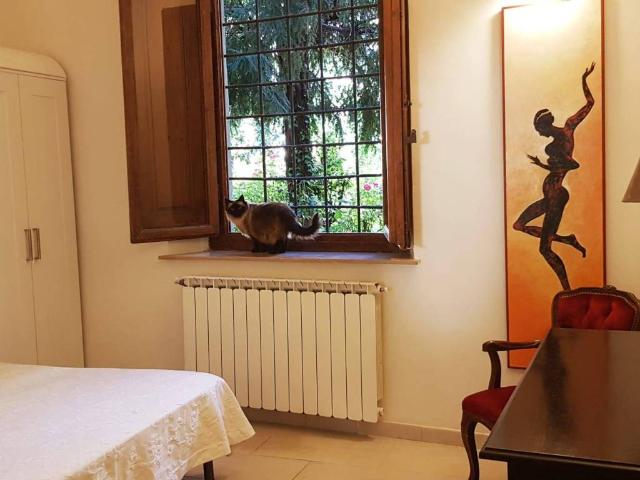 Appartamento in affitto a Firenze FI