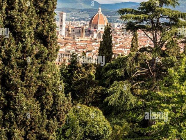 Appartamento in affitto a Firenze FI