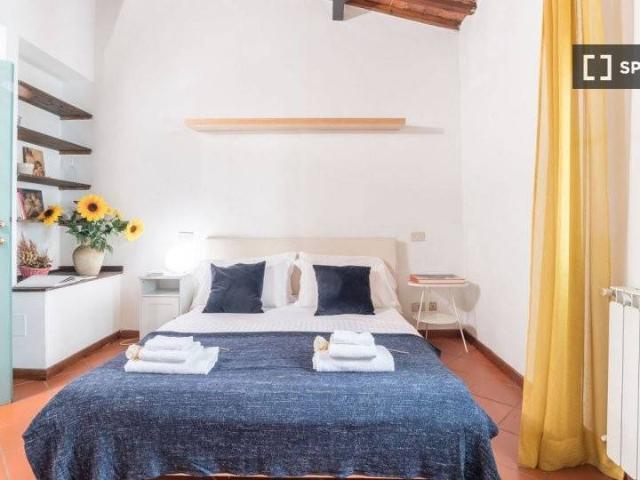Appartamento in affitto a Firenze FI