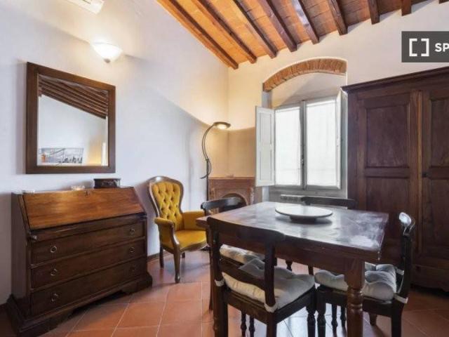Appartamento in affitto a Firenze FI
