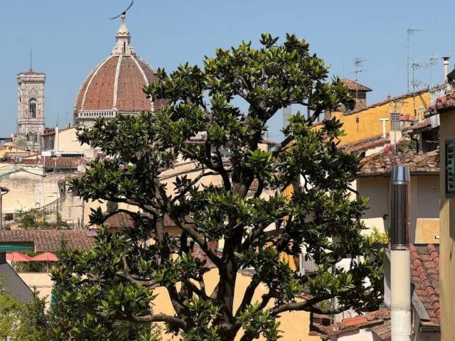 Appartamento in affitto a Firenze FI