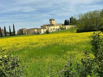 Isolotto Legnaia, Firenze, Firenze Toscana, Toscana