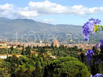 Firenze, Firenze Toscana, Toscana - Giardino