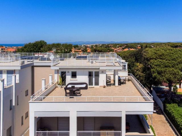 Loft / Open Space in affitto a Fiumicino RM