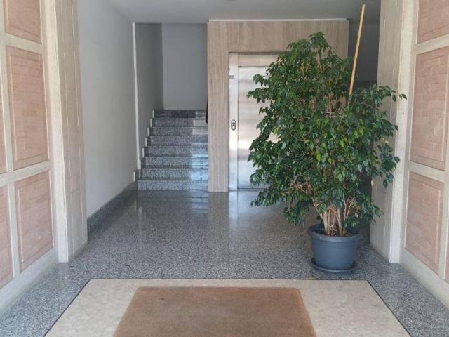 Appartamento in affitto a Fiumicino RM