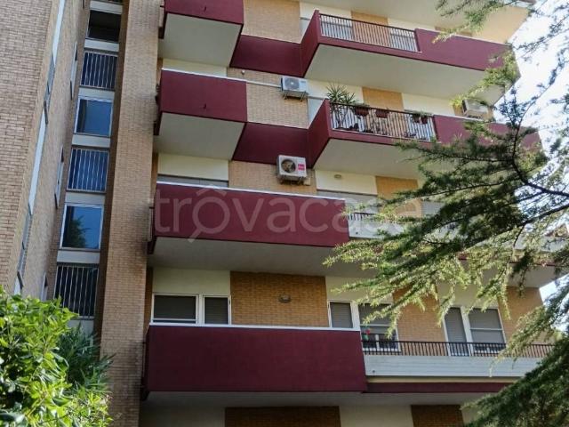 Appartamento in affitto a Foggia via Enzo Fioritto, 8, arredato, balcone, ripostiglio TrovaCasa