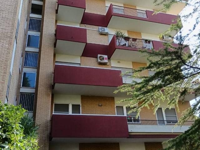 Appartamento in affitto a Foggia FG